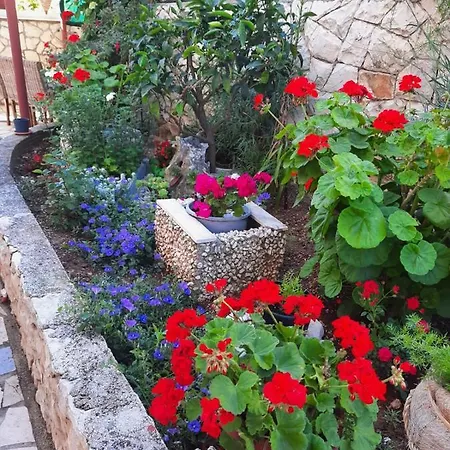 Ivano * تروغير